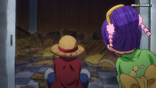 ワンピースアニメ 894話 ワノ国編 | ONE PIECE