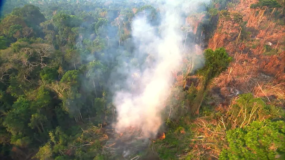 AMAZÔNIA EM CHAMAS: BRASIL BATE NOVO RECORDE DE INCÊNDIOS FLORESTAIS 