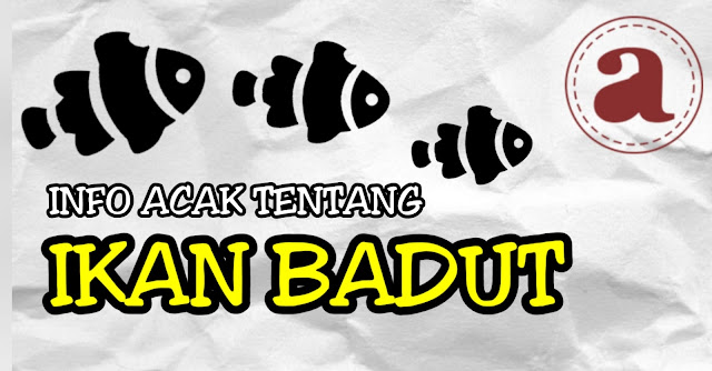 Info Acak Tentang Ikan Badut