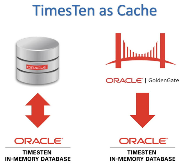 Oracle Database Cache, Oracle Database Exam Prep, Oracle Database Exam Preparation, Database Guides, Database Career, Database Jobs, Database Skills