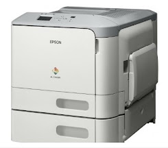 Epson Workforce AL-C300DTN