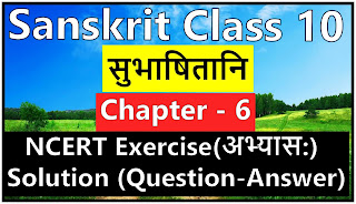 Sanskrit Class 10 Chapter 6 सुभाषितानि NCERT Solutions