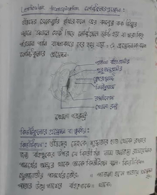 SSC Biology Chapter 6 Hand Note