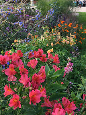 purple orange pink & peach blossom color flower bed in Paris