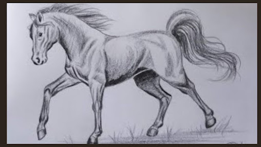 Best 20 Horse Drawing Sketch Painting Idea