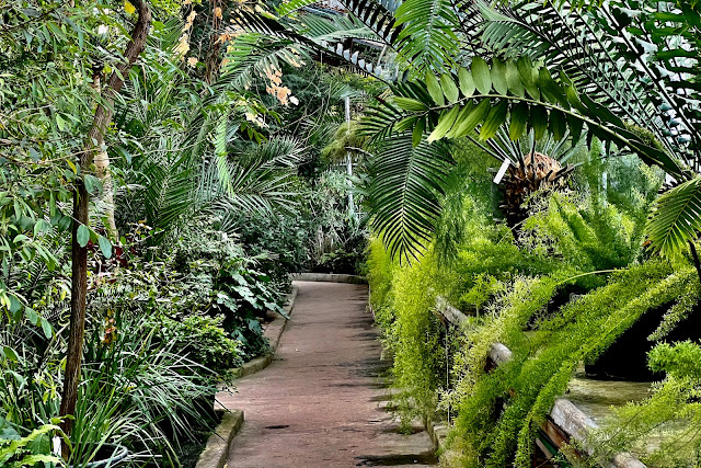 Ботанический сад, Старая Фондовая оранжерея