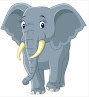 Common Gender : elephant : male or female elephant
