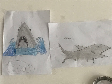 Shark art