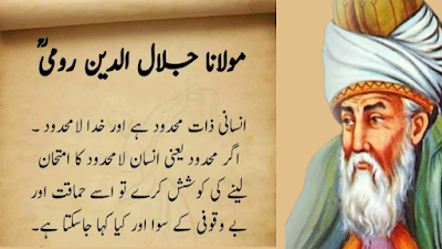 Maulana Rumi Quotes In Urdu