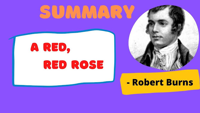 A red, red rose summary