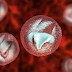  behind the current outbreak