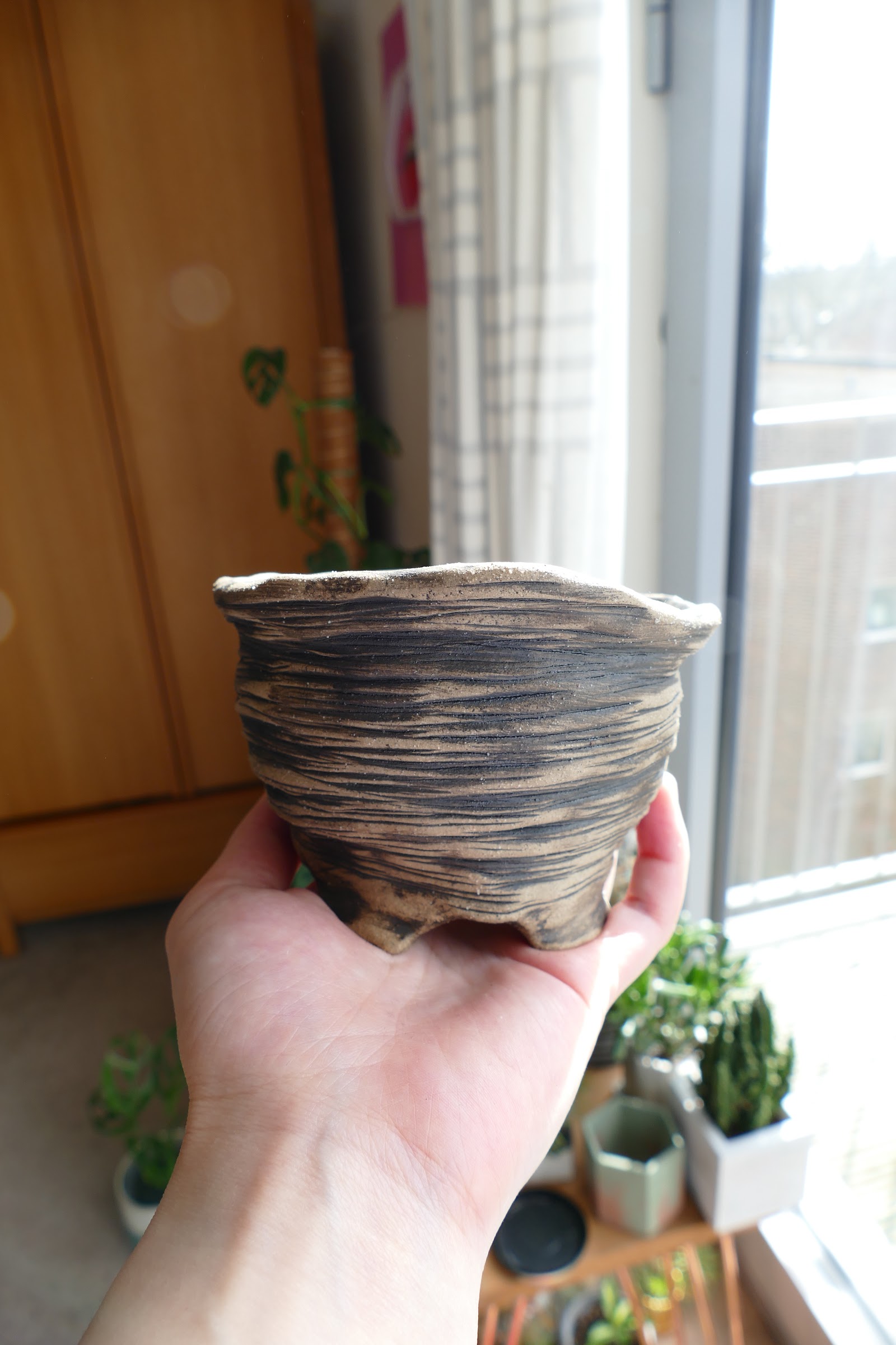 Unique Plant Pots For Your Home - Potpal Review 