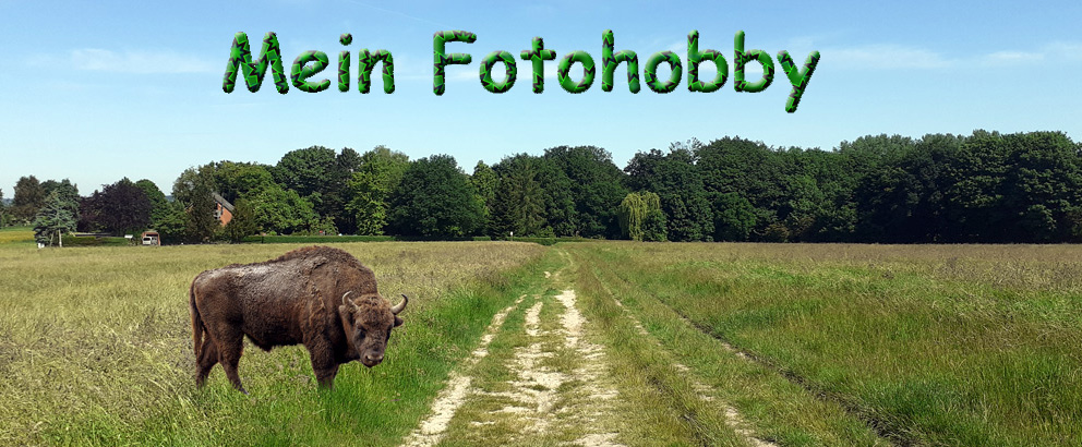 Mein Foto-Hobby