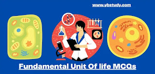 Fundamental Unit Of life class 9 mcq