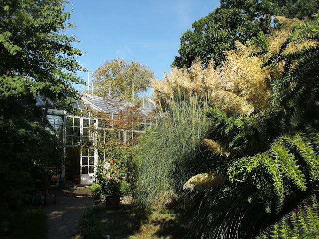 Senderos en el Hortus Botanicus