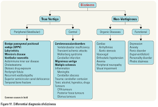 Differential Diagnosis of Dizziness