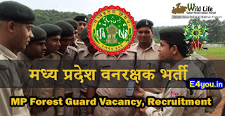 Madhya Pradesh forest guard vacancy 2022 नोटिफिकेशन के बारे में पूरी जानकारी पढ़ें