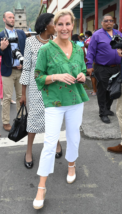 Sophie looked so chic in her cropped trousers and striking blouse