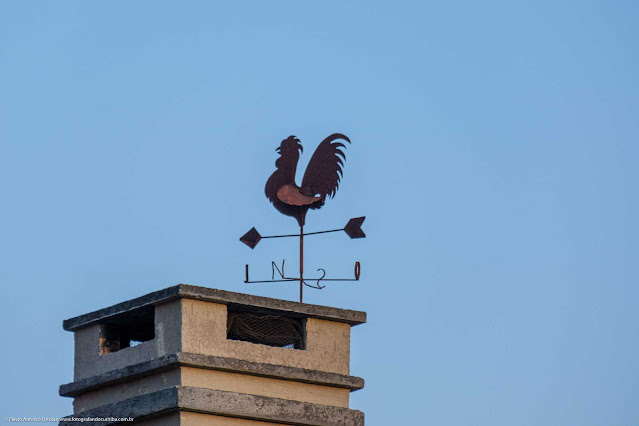 Um Galo dos Ventos no chaminé de uma casa no Jardim Social