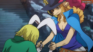 ワンピースアニメ 1009話 | ONE PIECE Episode 1009