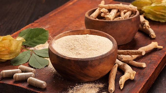 Unlock the Power of Ayurvedic Supplements: Exploring the Benefits of Ashwagandha, Giloy, Salacia, Shilajit, Mulethi, and More!