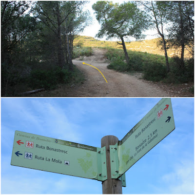 BONASTRE-LA MOLA-BOSC DE L'OBAGA DEL MAIÀ-MUNTANYES DEL TET-MASIA D'ESCANSA, camí del Mallol