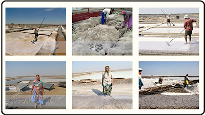 The-Hard-Life-Style-Of-Salt-Workers.
