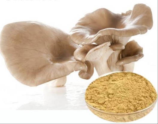 MycoNutra® oyster mushroom powder | MycoNutra® mushroom supplements | MycoNutra® 