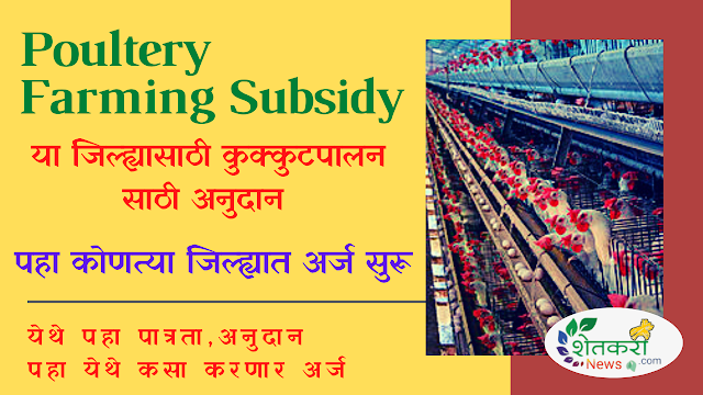 Poultery Farming Subsidy