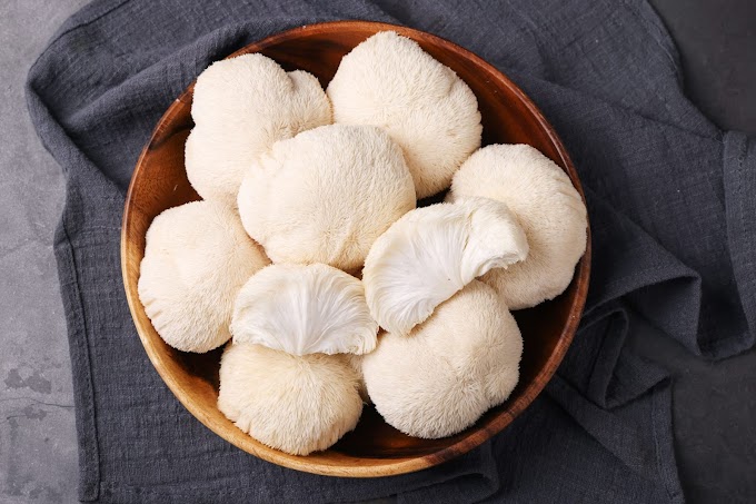 Key active constituents of Lion's Mane Mushrooms | Lion's Mane Mushroom supply | Biobritte mushroom company