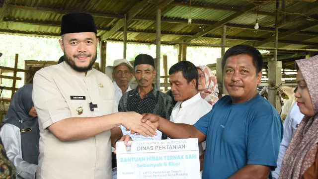 Wako Fadly Amran Serahkan Bantuan Hibah Ternak Sapi Kepada Kelompok Tani Ternak di Kota Padang