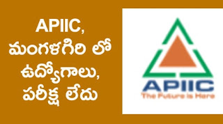 APIIC Mangalagiri Jobs 2022