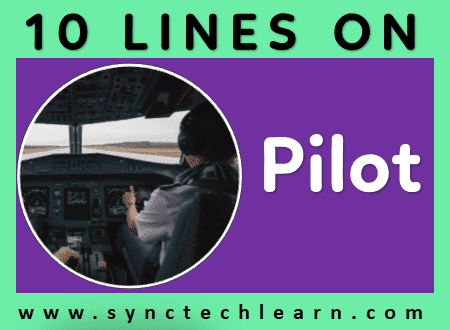 short essay on Pilot