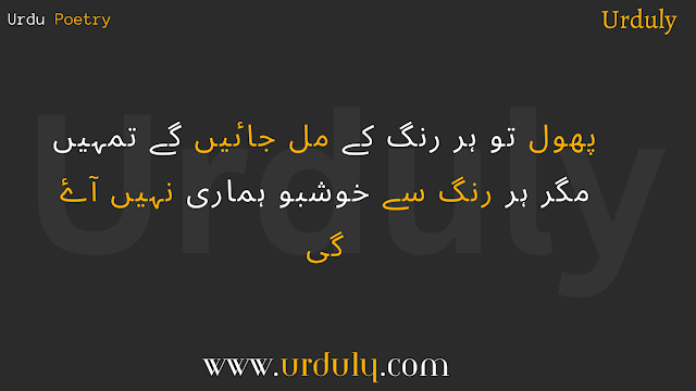 Urdu Shayari - Urdu Poetry - Best Urdu Poetry Text with Pics in (2023)