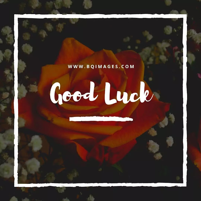 Good Luck Images Free Download
