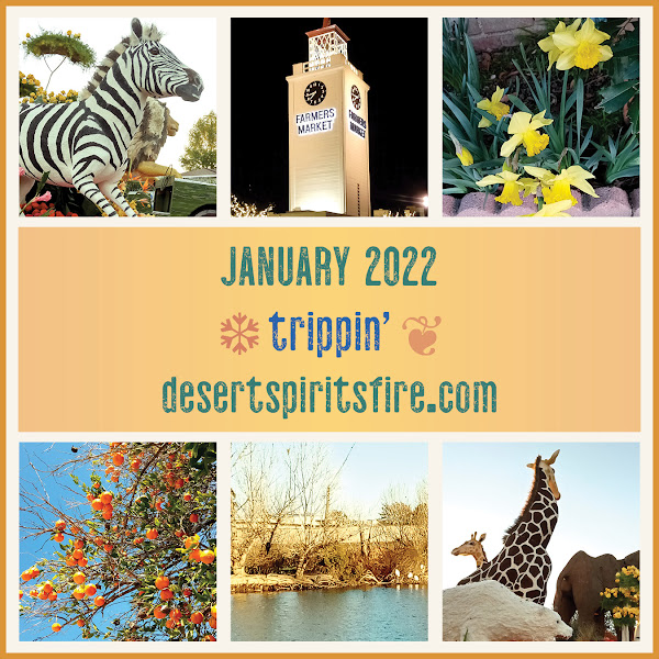 January 2021 trippin