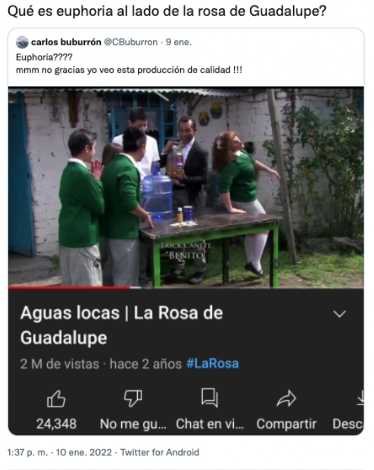 Los MEMES lo explican Qué tienen en común Euphoria y La Rosa de Guadalupe