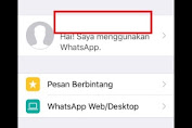 WhatsAppmu Pengen Tampil Misterius Nih Caranya Mudah Banget 