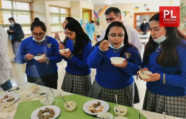 Programa de Alimentación Escolar Junaeb