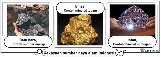 Jenis-jenis Sumber Daya Alam