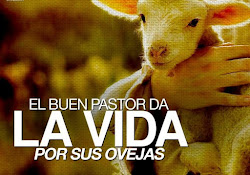 REFLEXION DEL EVANGELIO. DOMINGO 4º DE PASCUA (21 ABRIL CICLO B)