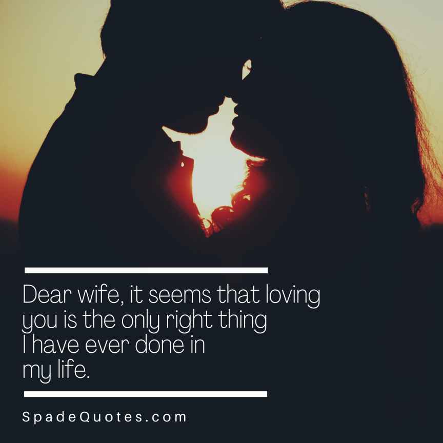 love-you-best-wife-quotes-spadequotes