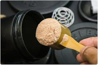 Best protein powder for building muscle