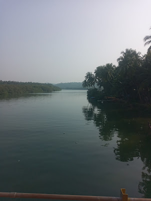 A peep from the train into the backwaters of scenic Kerala coastal villages.