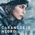 Caranguejo Negro FILME ONLINE GRÁTIS