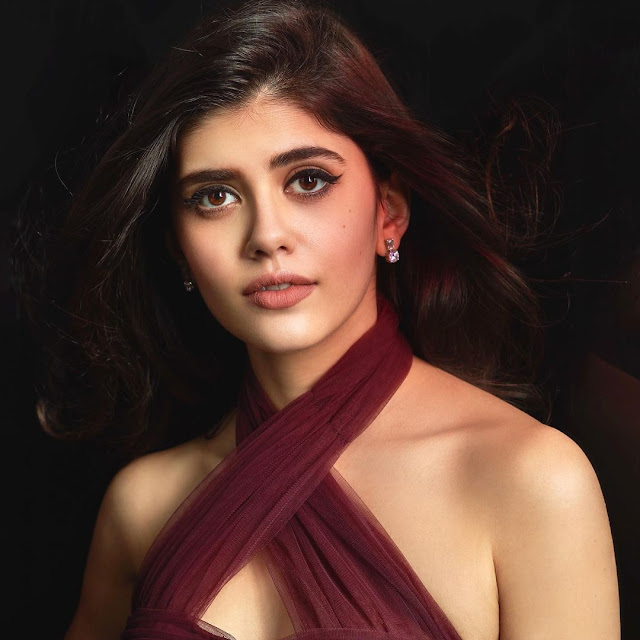 Sanjana Sanghi simple image