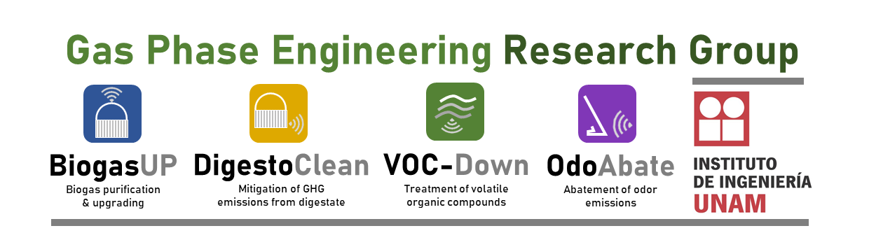 Gas Phase Engineering - UNAM