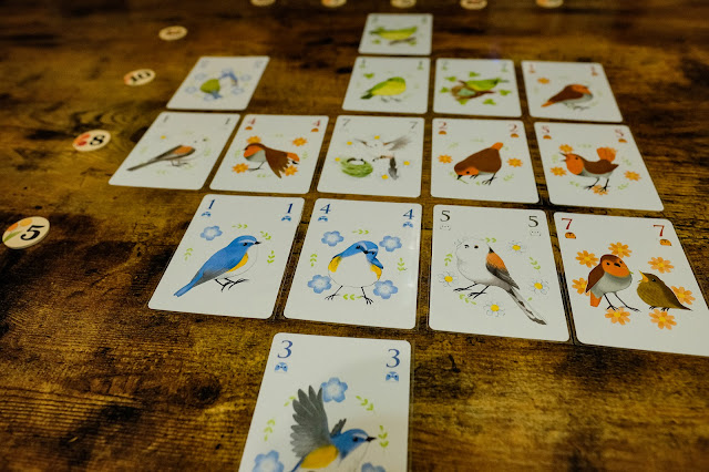 songbirds card game review 圓啾會議 桌遊 打牌必須打在已經打出的鳥牌的上下左右