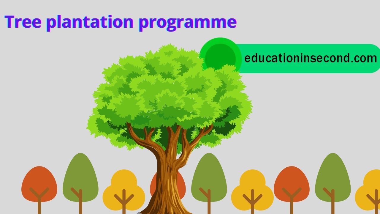 letter writing on tree plantation programme in school