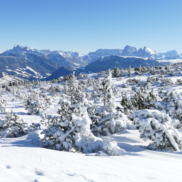 corno del renon premium panorama tour